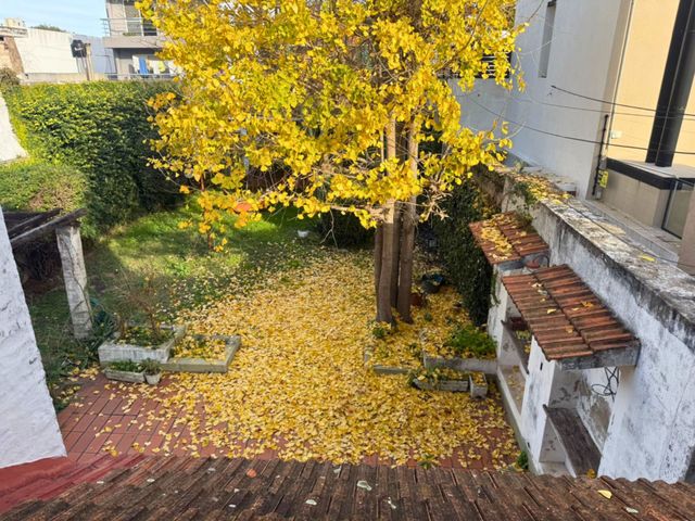 place photo 33