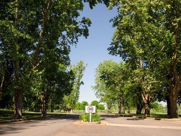 place photo 58