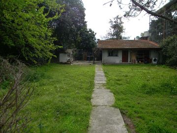 place photo 16
