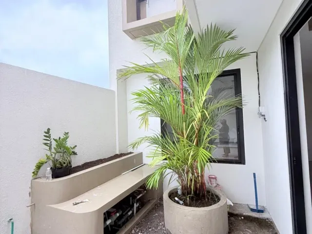 place photo 52