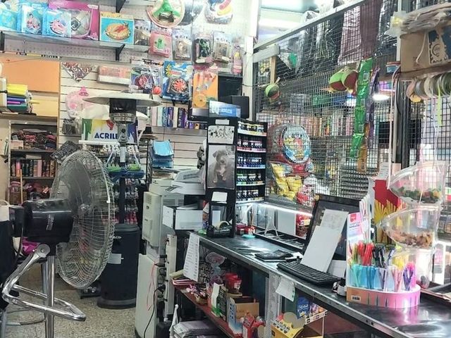 place photo 29