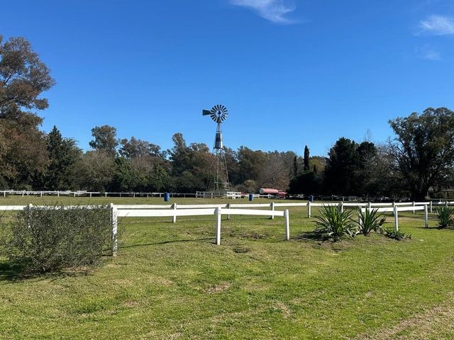place photo 41