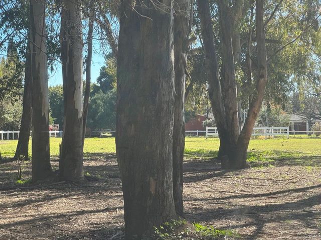 place photo 48