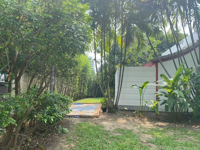 place photo 26
