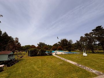 place photo 27