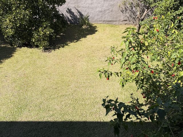 place photo 51