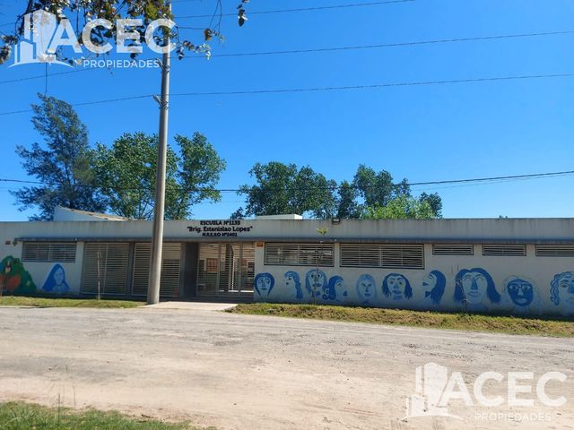place photo 13