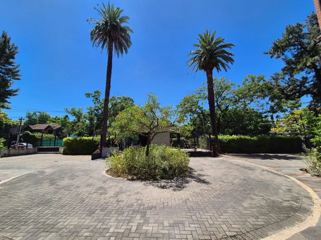 place photo 51