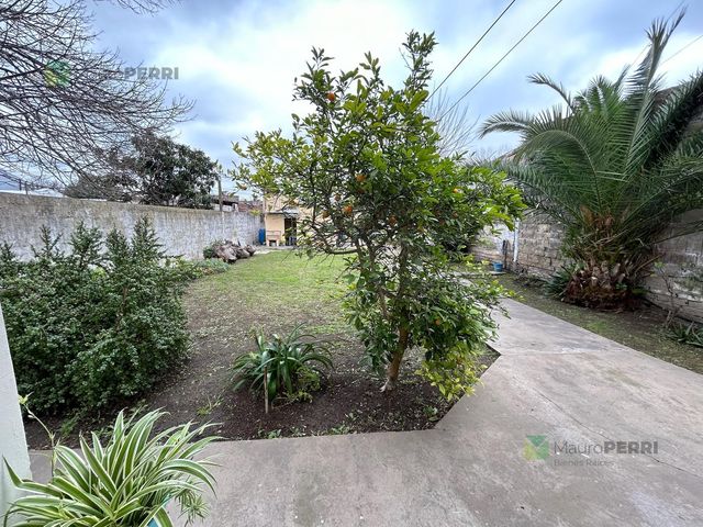 place photo 40