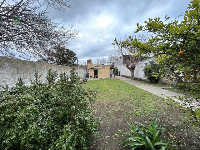 place photo 39