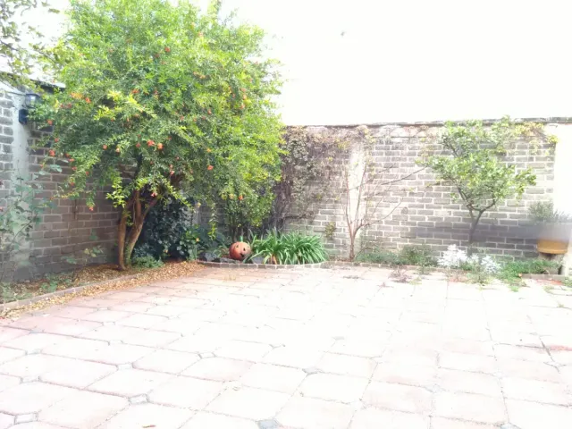place photo 8