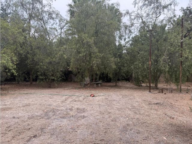 place photo 26