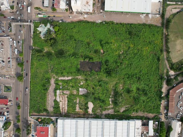 place photo 11