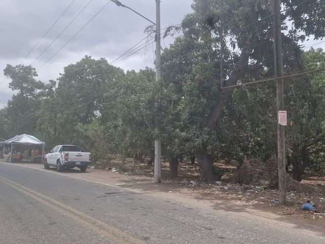 place photo 13