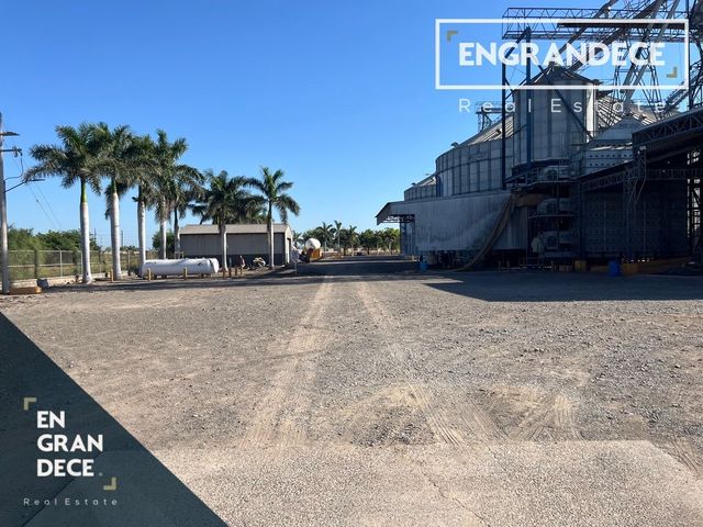 place photo 19