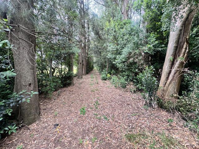 place photo 46