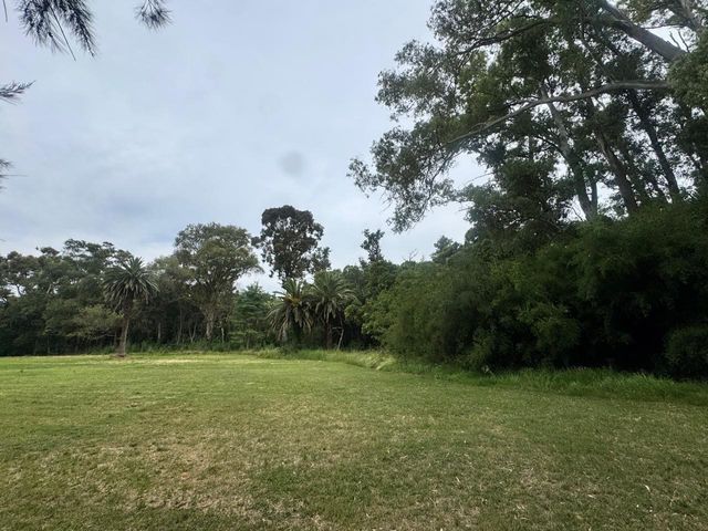 place photo 42
