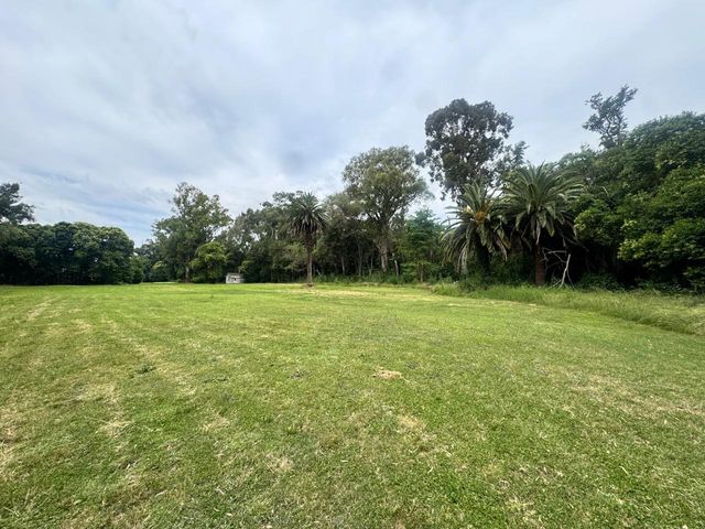 place photo 47