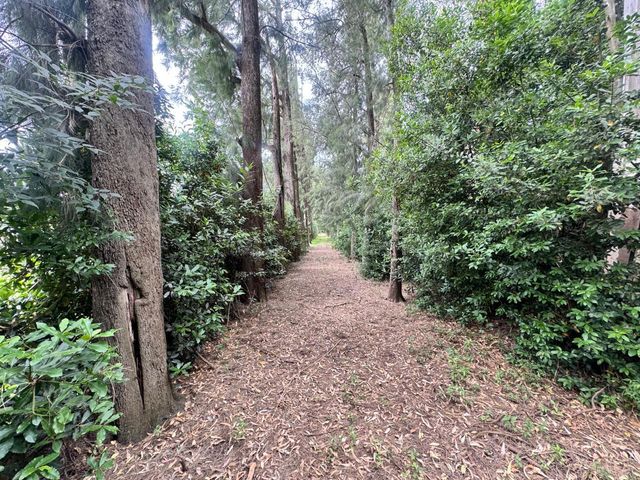 place photo 45