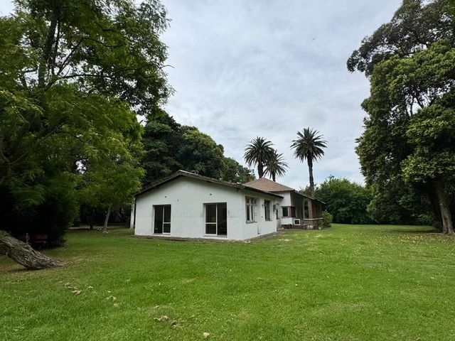place photo 34