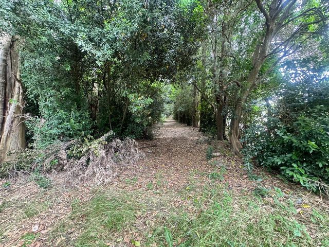 place photo 63