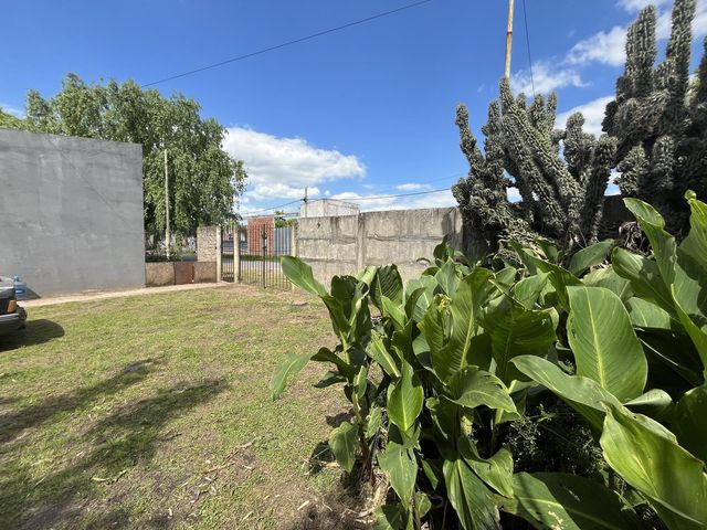 place photo 31
