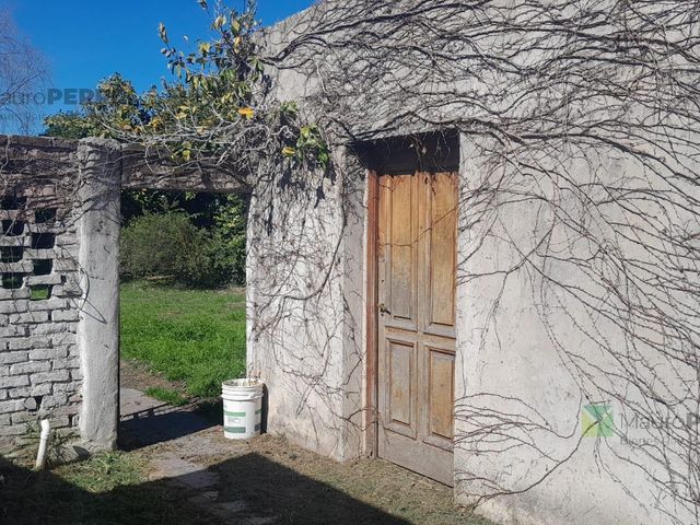 place photo 18