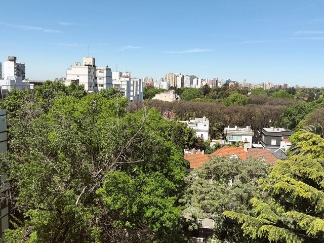 place photo 40