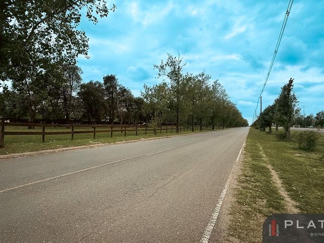 place photo 34