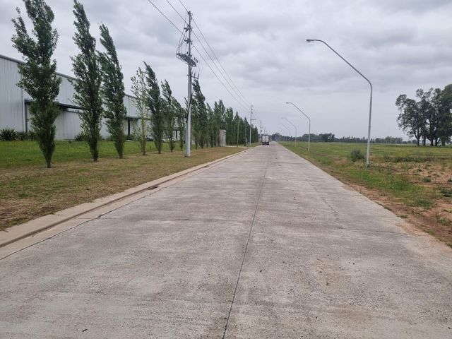 place photo 17