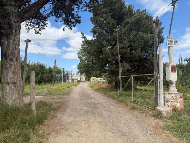 place photo 18