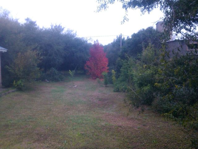 place photo 21
