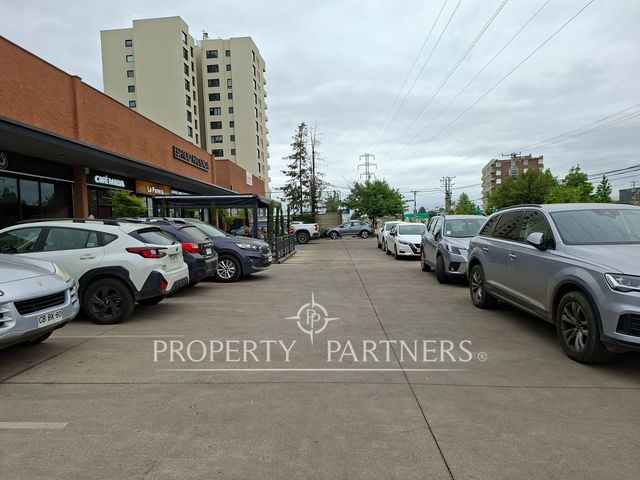 place photo 19