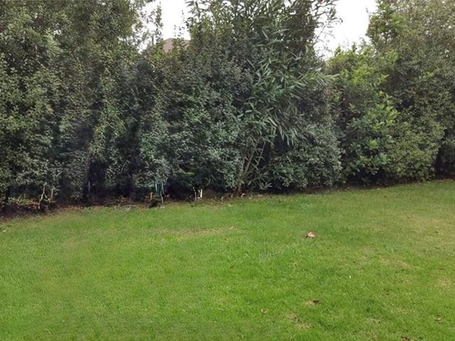 place photo 36