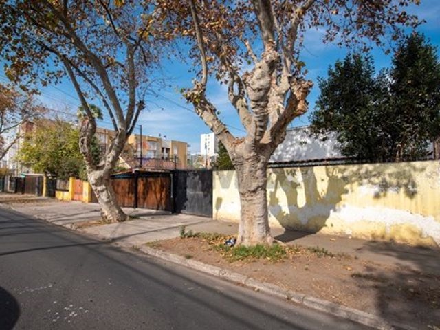 place photo 18