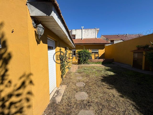 place photo 39