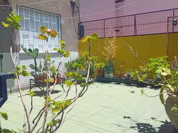 place photo 16