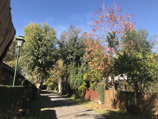 place photo 38