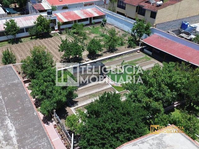 place photo 44