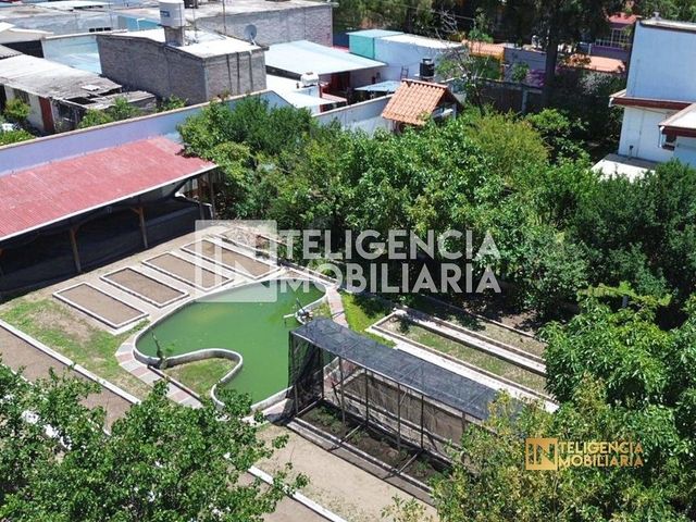 place photo 42