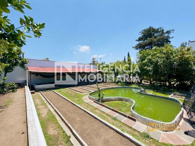place photo 45