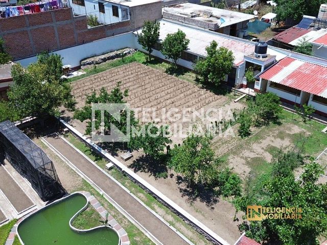 place photo 48