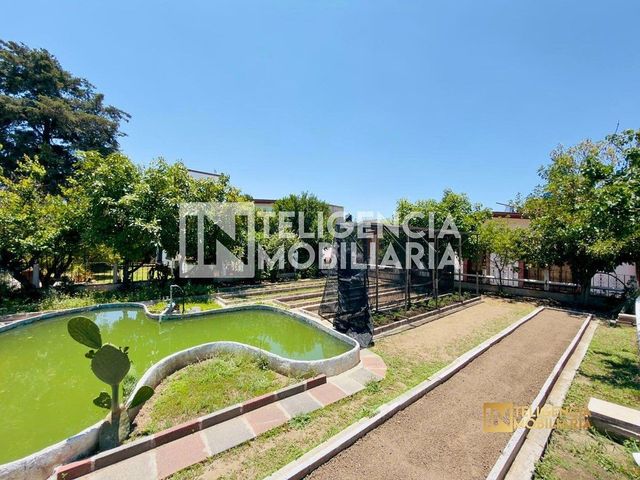 place photo 37