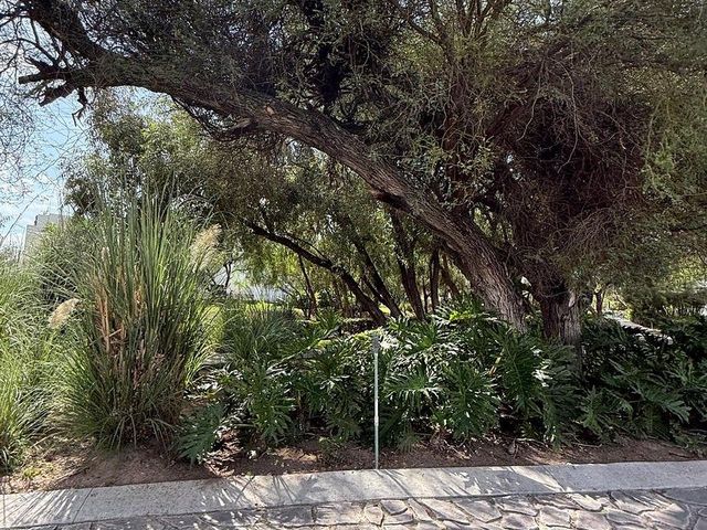 place photo 30