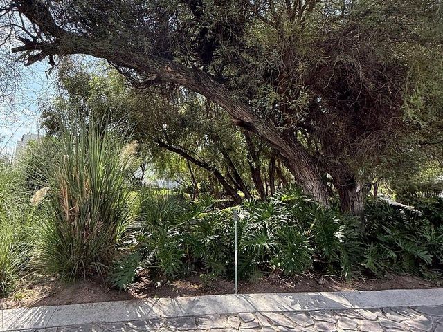 place photo 30