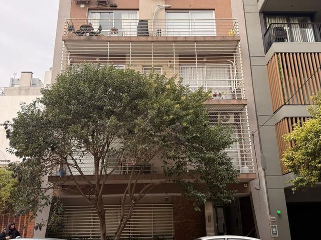 place photo 15