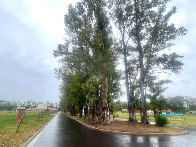 place photo 36
