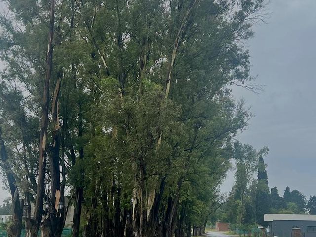 place photo 37