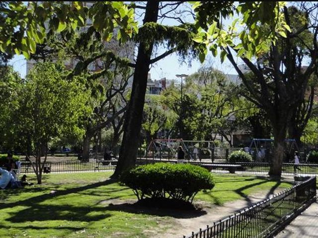 place photo 16