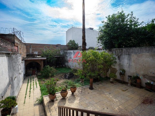 place photo 13